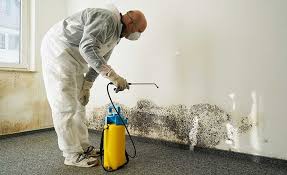 Mold Remediation for Rental Properties in Luther, OK