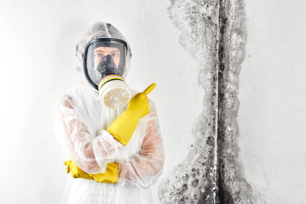 Luther, OK Mold Removal & Remediation Company